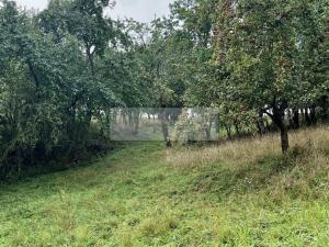 Prodej sadu/vinice, Velké Všelisy - Zamachy, 11900 m2