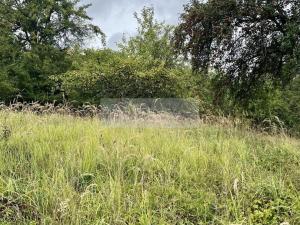 Prodej sadu/vinice, Velké Všelisy - Zamachy, 11900 m2