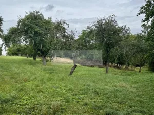 Prodej sadu/vinice, Velké Všelisy - Zamachy, 11900 m2