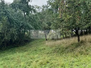 Prodej sadu/vinice, Velké Všelisy - Zamachy, 11900 m2