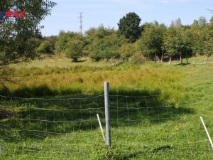 Prodej pozemku pro bydlení, Lety, 3676 m2