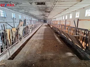 Prodej zemědělského objektu, Nové Dvory, 1377 m2