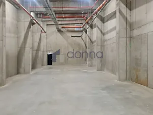 Pronájem skladu, Praha - Vinohrady, Italská, 300 m2