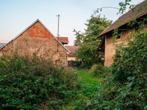 Prodej zemědělské usedlosti, Lešany - Břežany, 300 m2