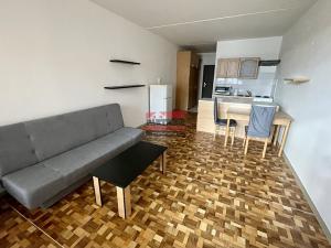 Pronájem bytu 1+kk, Tábor, nám. Přátelství, 31 m2