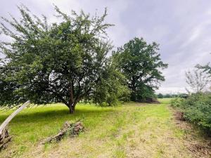 Prodej pozemku pro bydlení, Kynšperk nad Ohří, 1002 m2