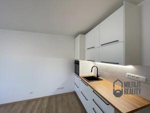 Pronájem bytu 1+kk, Liberec, Březová alej, 22 m2