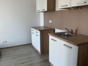 Prodej bytu 1+kk, Slaný, Prokopa Holého, 27 m2