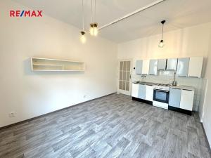 Prodej bytu 2+kk, Praha - Bubeneč, Zelená, 44 m2