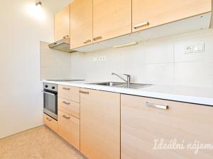 Pronájem bytu 2+1, Brno - Staré Brno, Výstavní, 59 m2