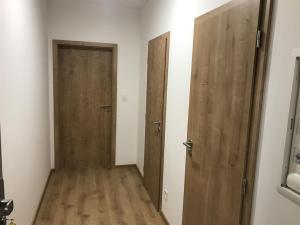 Pronájem bytu 1+kk, Olomouc, Frištenského, 32 m2