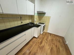 Prodej bytu 2+1, Bílina - Pražské Předměstí, Aléská, 49 m2