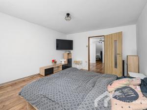 Prodej rodinného domu, Šimonovice, Vinohradní, 1034 m2