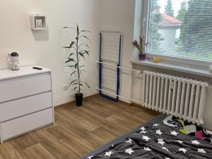 Pronájem bytu 2+1, Nové Město na Moravě, Žďárská, 56 m2