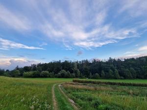 Prodej pozemku pro bydlení, Vyšehořovice, 957 m2