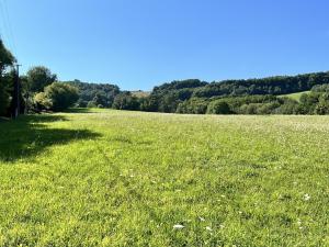 Prodej pozemku pro bydlení, Vyškovec, 29133 m2