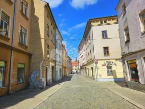 Prodej historického objektu, Jihlava, Matky Boží, 450 m2