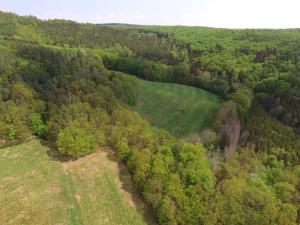 Prodej louky, Stříbrná Skalice, osada Na Hradcích, 12376 m2