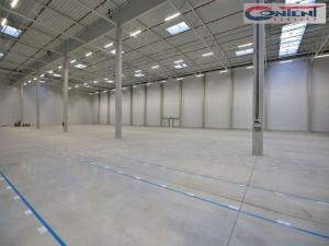 Pronájem výrobních prostor, Most - Čepirohy, Žatecká, 7000 m2