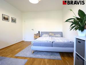 Pronájem bytu 2+1, Brno - Kohoutovice, Borodinova, 58 m2