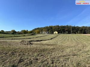 Prodej pozemku pro bydlení, Černé Voděrady, Černokostelecká, 3043 m2