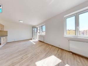 Pronájem bytu 1+kk, Plzeň, Mikulášská, 43 m2