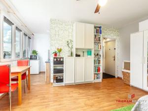 Pronájem bytu 1+kk, Hradec Králové - Slezské Předměstí, Severní, 28 m2