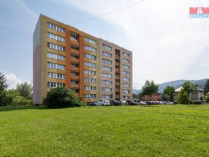 Prodej bytu 2+1, Frýdlant nad Ostravicí - Frýdlant, Nerudova, 54 m2