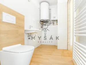 Pronájem bytu 1+kk, České Budějovice - České Budějovice 6, Palmová, 27 m2