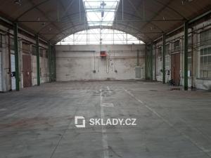 Pronájem skladu, Bzenec, 600 m2