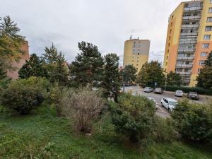 Pronájem bytu 1+kk, Praha - Záběhlice, Hvozdíková, 25 m2