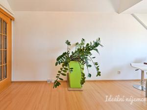 Pronájem bytu 3+kk, Brno, Palackého třída, 91 m2