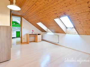 Pronájem bytu 3+kk, Brno, Palackého třída, 91 m2