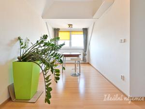 Pronájem bytu 3+kk, Brno - Královo Pole, Palackého třída, 91 m2