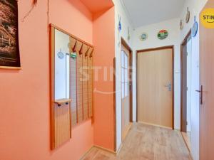 Prodej bytu 3+1, Velká nad Veličkou, 72 m2