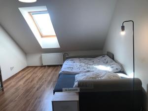 Pronájem bytu 2+1, České Budějovice, Mánesova, 63 m2