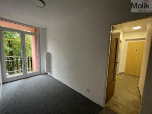 Pronájem bytu 3+kk, Litvínov - Horní Litvínov, U Zámeckého parku, 58 m2