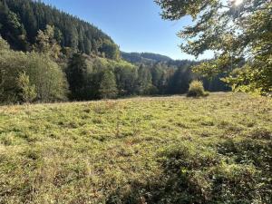 Prodej louky, Staré Buky - Prostřední Staré Buky, 24227 m2