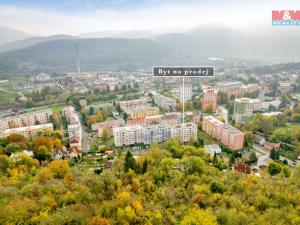 Prodej bytu 2+1, Ústí nad Labem - Neštěmice, Železná, 60 m2