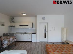 Pronájem bytu 1+kk, Brno - Slatina, Kigginsova, 40 m2