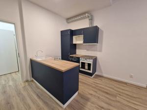 Pronájem bytu 1+kk, Brno, Antonínská, 30 m2