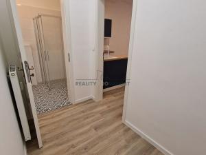 Pronájem bytu 1+kk, Brno, Antonínská, 30 m2