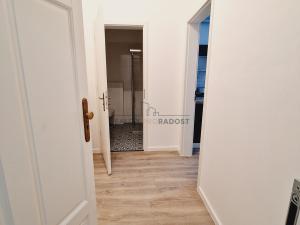 Pronájem bytu 1+kk, Brno, Antonínská, 30 m2