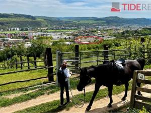 Prodej bytu 3+kk, Beroun, okres beroun, Na Máchovně, 106 m2