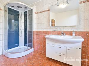 Pronájem bytu 4+kk, Ponětovice, 180 m2