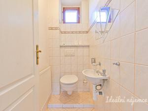 Pronájem bytu 4+kk, Ponětovice, 180 m2