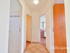 Pronájem bytu 4+kk, Ponětovice, 180 m2