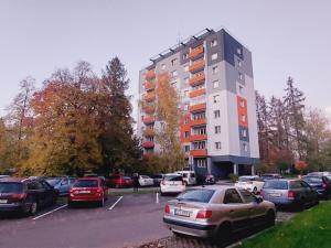 Pronájem bytu 1+kk, Valašské Meziříčí - Krásno nad Bečvou, Růžová, 24 m2