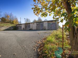 Prodej vícegeneračního domu, Teplice nad Metují - Dolní Teplice, Nádražní, 275 m2