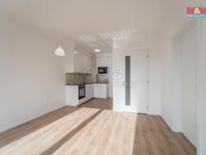 Pronájem bytu 2+kk, Beroun - Beroun-Město, U Židovského hřbitova, 44 m2